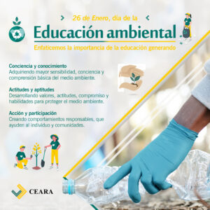 Lee más sobre el artículo Día de la Educación Ambiental