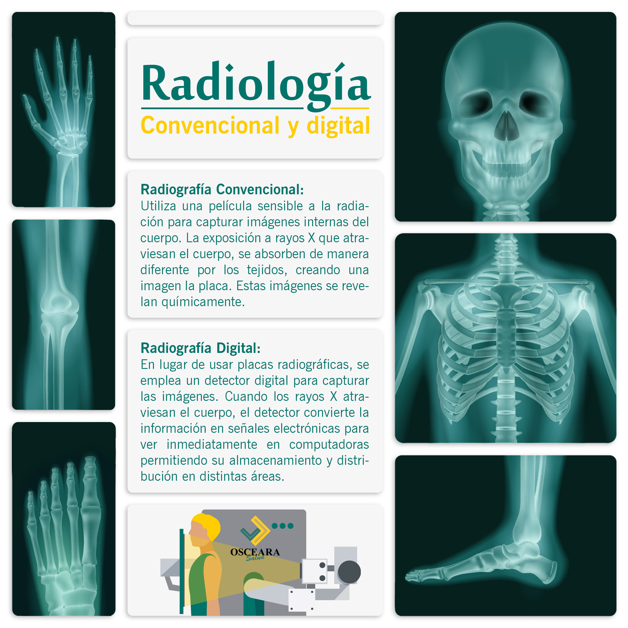 En este momento estás viendo Radiografías