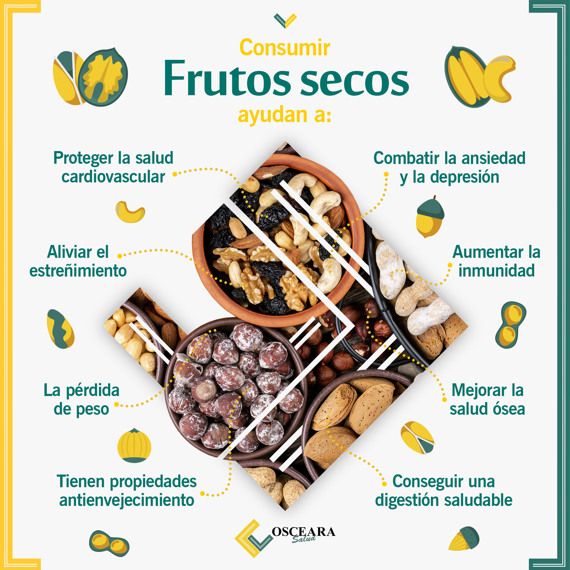 En este momento estás viendo Frutos secos