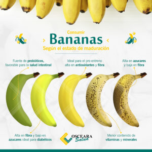 Lee más sobre el artículo Bananas