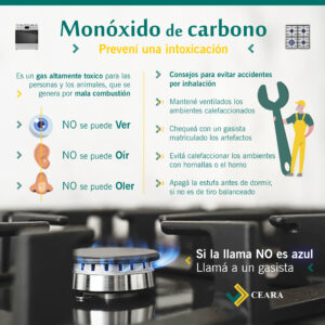 Lee más sobre el artículo ⚠️ ¡Cuidado con el Monóxido de Carbono! 🔥