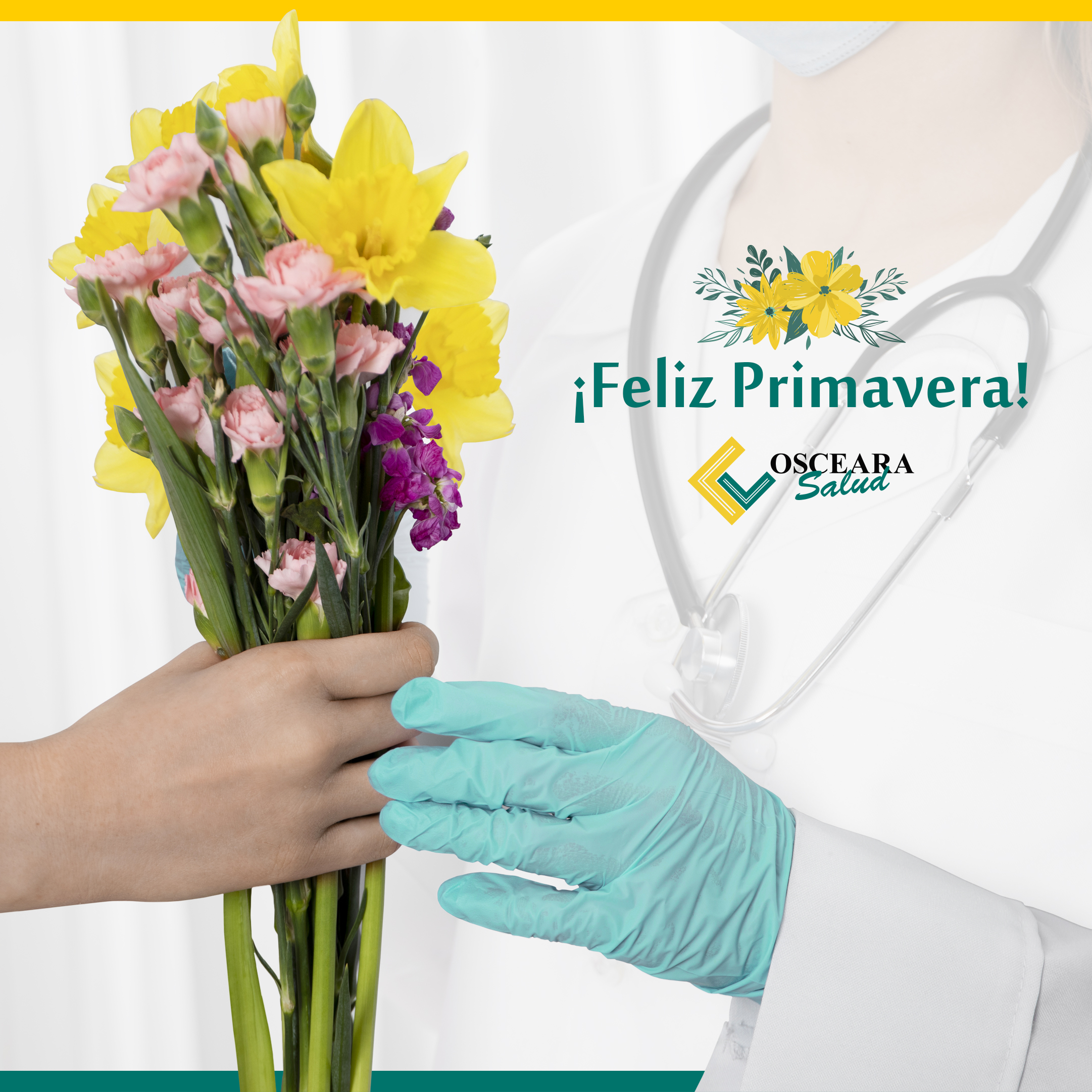 En este momento estás viendo 🌺 ¡Bienvenida primavera! 🐝