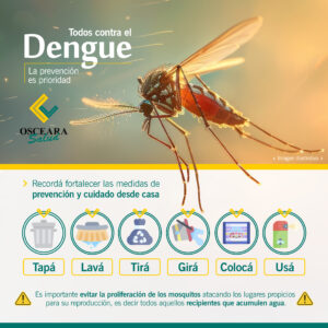 Lee más sobre el artículo Dengue 🦟