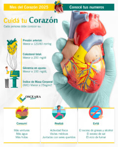 Lee más sobre el artículo 🫀 El corazón es un órgano vital que requiere de cuidados constantes.